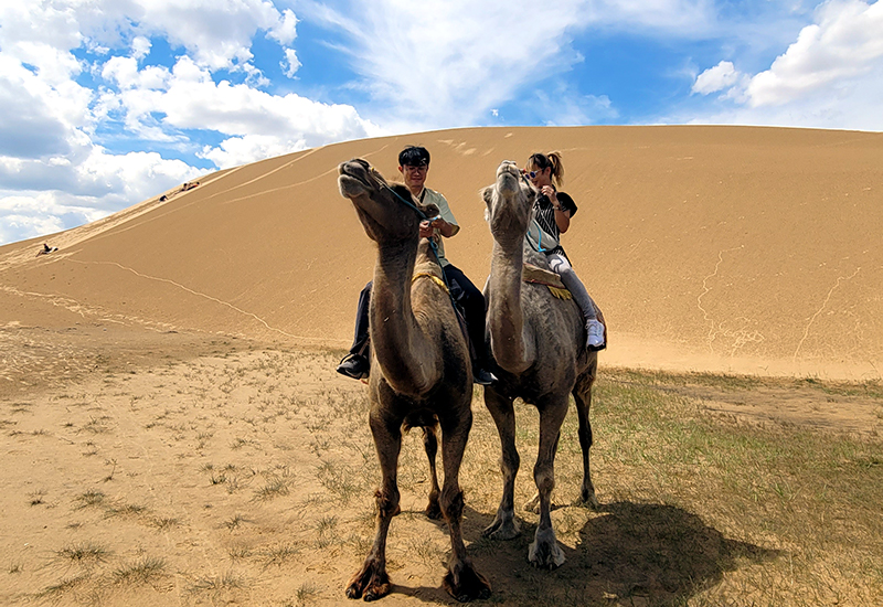 camel riding at Mongolian sand dunes